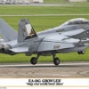 Hasegawa EA-18G Growler (VAQ-134 Garudas 2024) 1/72