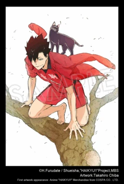 Kotobukiya Artfx J - Tetsuro Kuroo - Haikyu!! 1/8 -Panda Hobby Shop Pre Order ETAQ12025 ArtfxJ TetsuroKuroo Haikyu 1 8 7 f703f85a eaf7 4152 9ae7 e96da2e64935