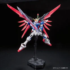 Bandai RG 11 Destiny Gundam 1/144 -Panda Hobby Shop RG 11DestinyGundam6