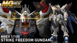 Bandai MGEX Strike Freedom 1/100 -Panda Hobby Shop maxresdefault